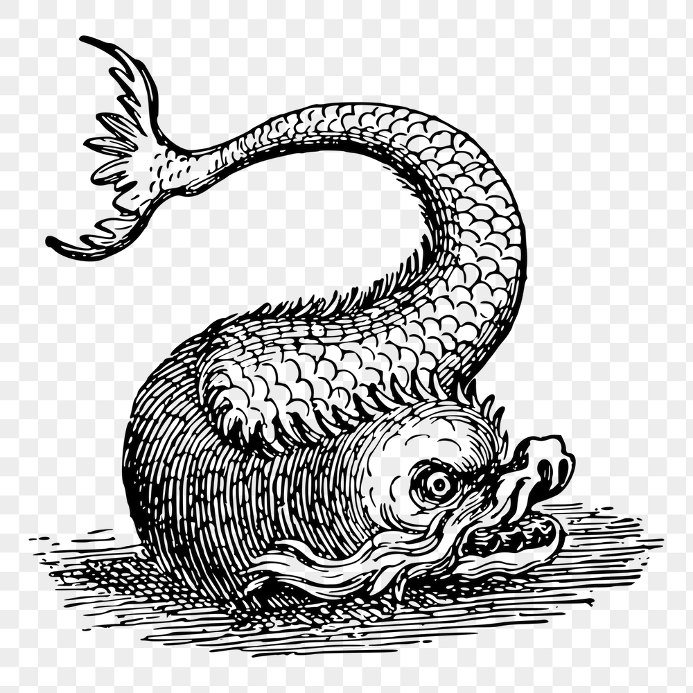 Fish monster png sticker, vintage | Free PNG - rawpixel