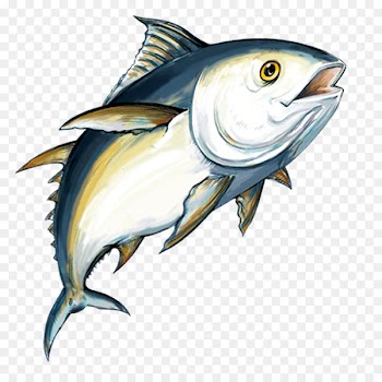 Fish oil Omega-3 fatty acid Deep sea fish - Sea elements 