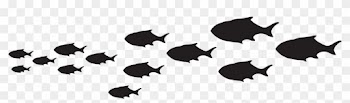 Fish Passage Silhouette Png Clip Art Imageu200b Gallery - Clip Art School Of Fish