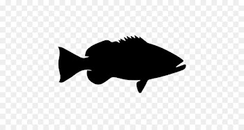 Fish Pictogram Nassau grouper - fish 