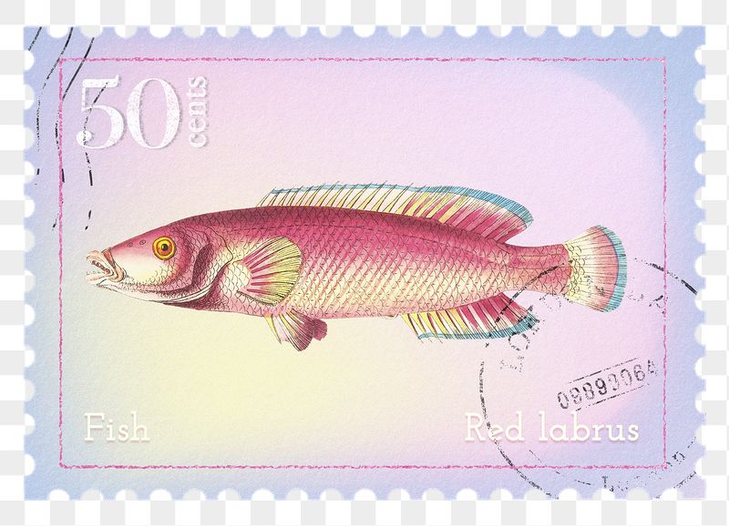 Fish png post stamp sticker, | Free PNG - rawpixel