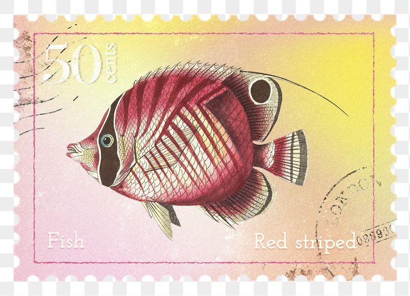 Fish png post stamp sticker, | Free PNG - rawpixel
