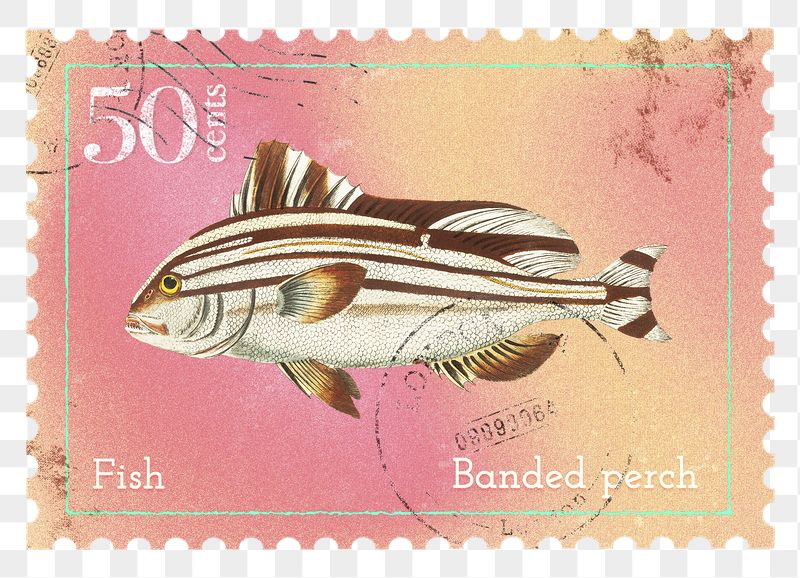 Fish png post stamp sticker, | Free PNG - rawpixel