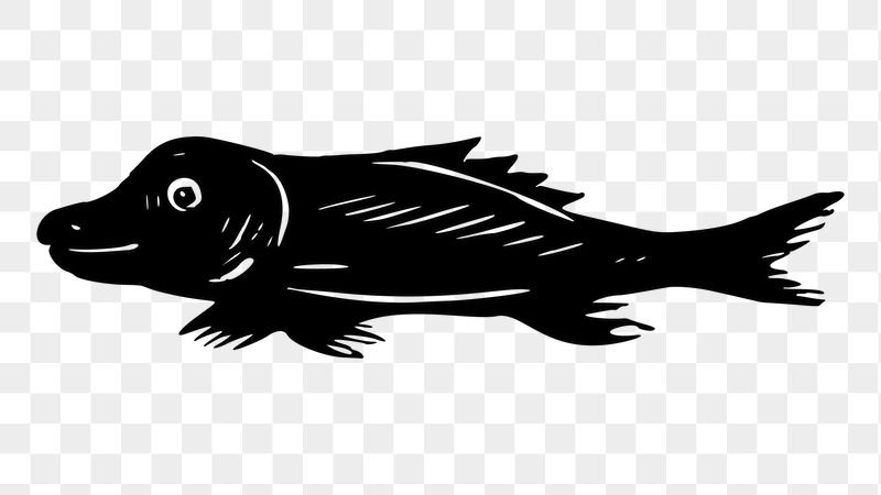 Fish png sticker illustration, transparent | Free PNG - rawpixel
