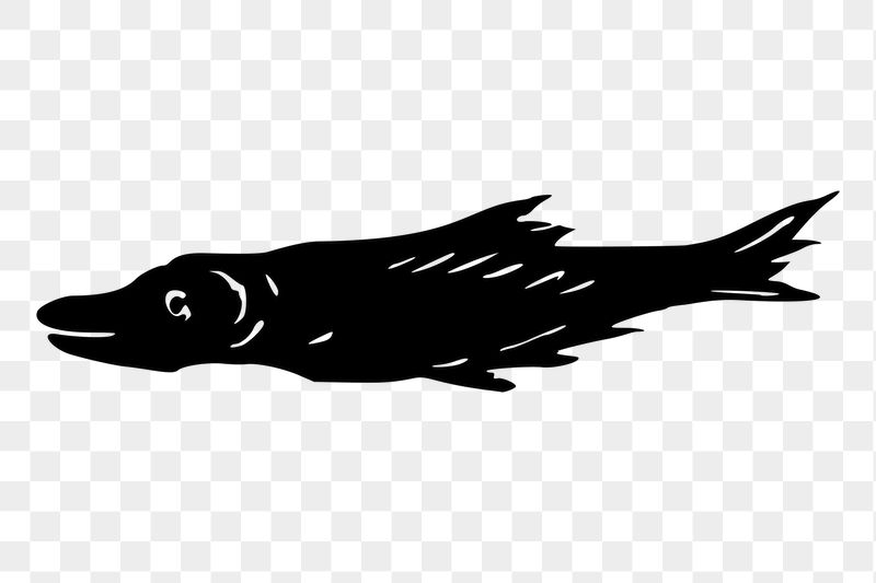 Fish png sticker illustration, transparent | Free PNG - rawpixel