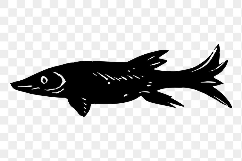 Fish png sticker illustration, transparent | Free PNG - rawpixel