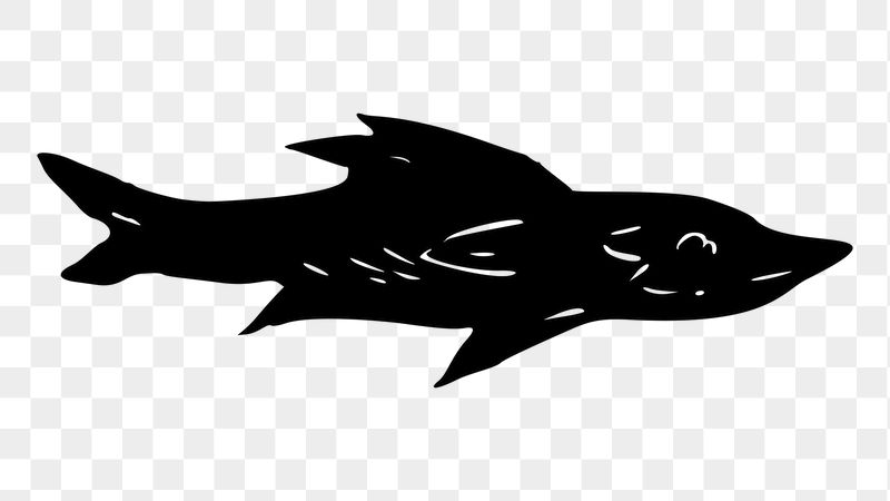 Fish png sticker illustration, transparent | Free PNG - rawpixel