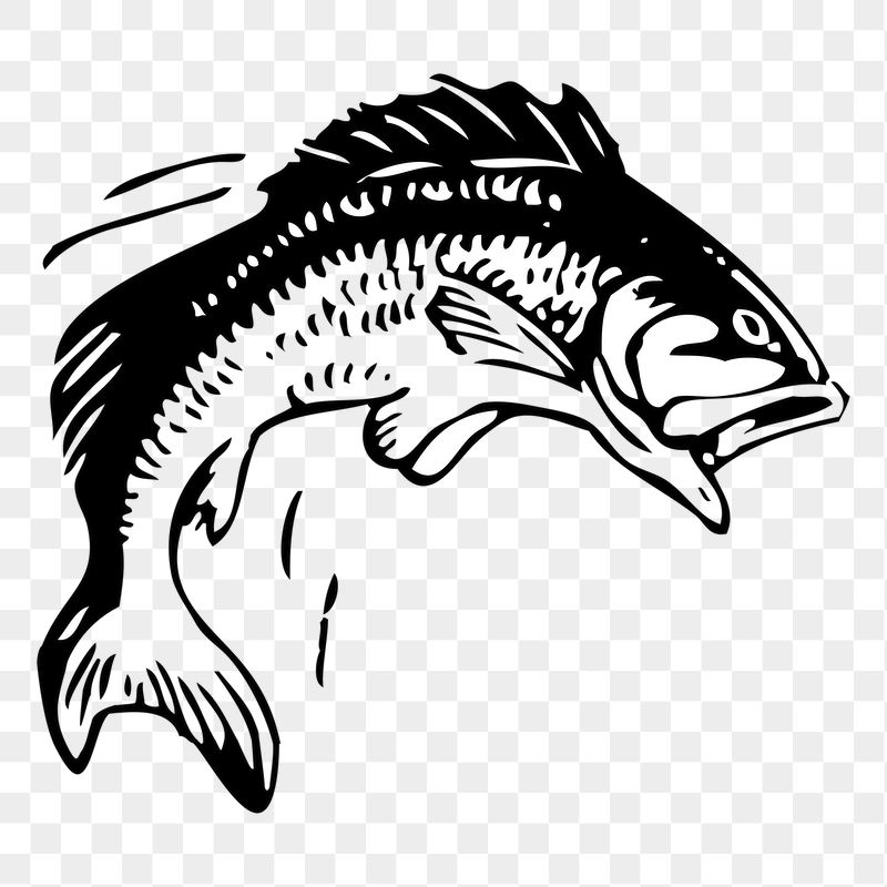 Fish png sticker illustration, transparent | Free PNG - rawpixel