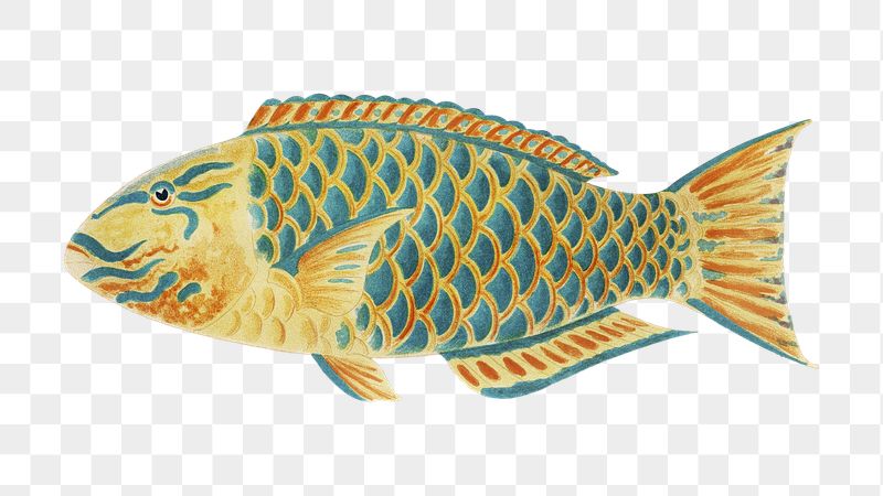 Fish png sticker, William Saville-Kent's | Free PNG - rawpixel