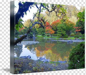 Fish pond Water resources Landscape Garden Vegetation, painting transparent background PNG clipart