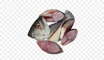 Fish products Cod Oily fish Mackerel Salted fish - fish 