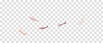 Fish s, school of fish transparent background PNG clipart | HiClipart