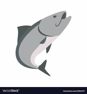 fish sea animal