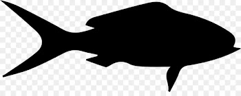 Fish Shape Clip art Queen snapper Hyporthodus nigritus - fish 