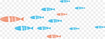 Fish Shoaling and schooling - Shoal of fish 