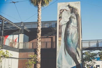 Fish Signboard