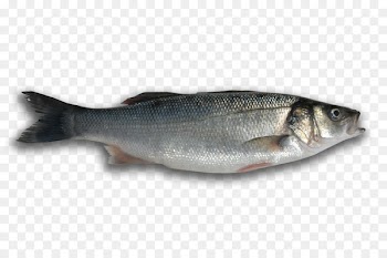 Fish soup Seafood European bass - nemo 
