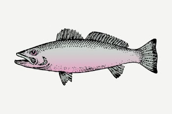 Fish sticker, sea life vintage | Free PSD - rawpixel