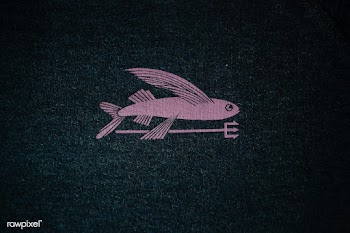 Fish symbol | Free public domain photo - 593200