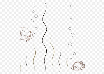 Fish - Two fish swim in the sea Happy 