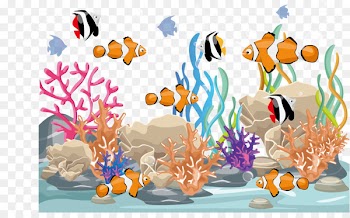 Fish - Vector fish swimming 