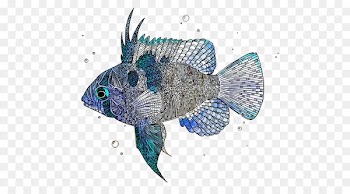 Fish - Vector fishes 
