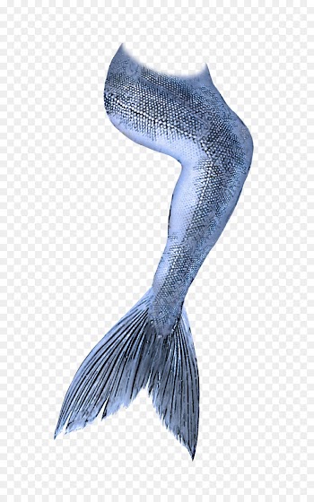 fish wing blue whale fictional character tail