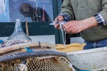Fisherman Cleaning Seafood