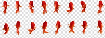 Fishes for the animation, red coi fish transparent background PNG clipart