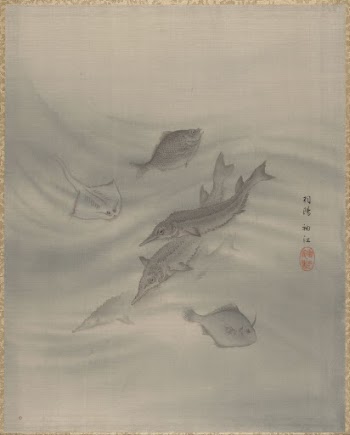 Fishes | Free Photo - rawpixel