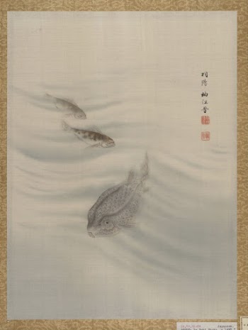 Fishes | Free Photo - rawpixel