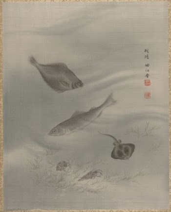 Fishes | Free Photo - rawpixel