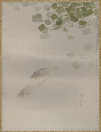 Fishes | Free Photo - rawpixel
