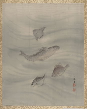 Fishes | Free Photo - rawpixel