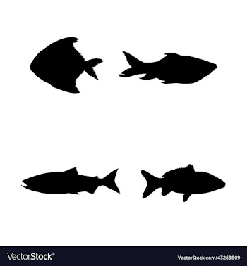 fishes silhouette