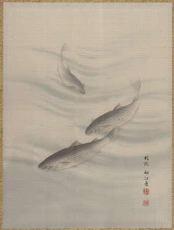 Fishes Swimming | Free Photo - rawpixel