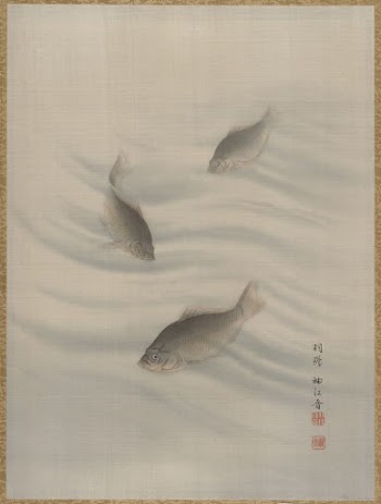 Fishes Swimming | Free Photo - rawpixel