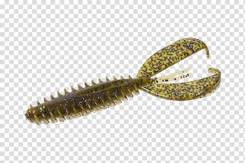Fishing Baits & Lures Watermelon seed oil, watermelon transparent background PNG clipart