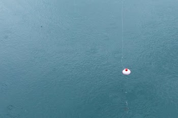 Fishing Bobber In Water