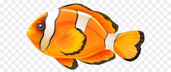 Fishing Computer file - Fish PNG 