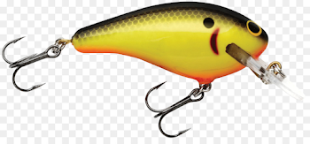 Fishing, Fish, Orange, transparent png image & clipart free download