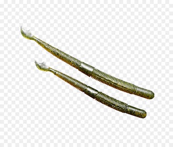 Fishing, Fishing Baits Lures, Biwaa, Plant PNG