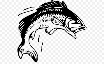 Fishing Free content Bass Clip art - Bass Jumping Cliparts 