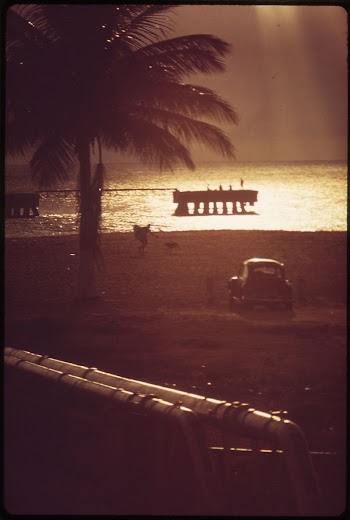Fishing From the Dock at Playa | Free Photo - rawpixel