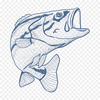 Fishing rod Seafood Drawing Sketch - fish 