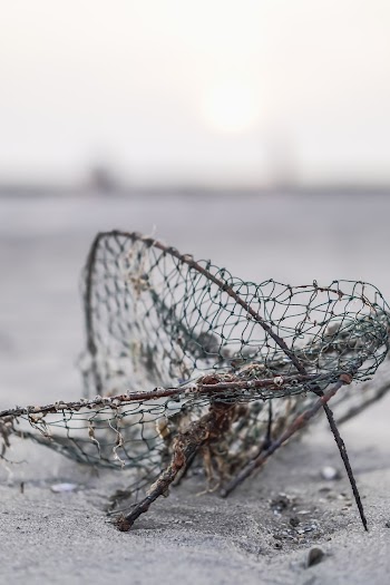 Fishing Trap