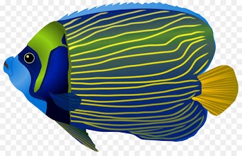 Fishing Tropical fish Clip art - fish 