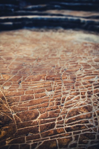 Fissures