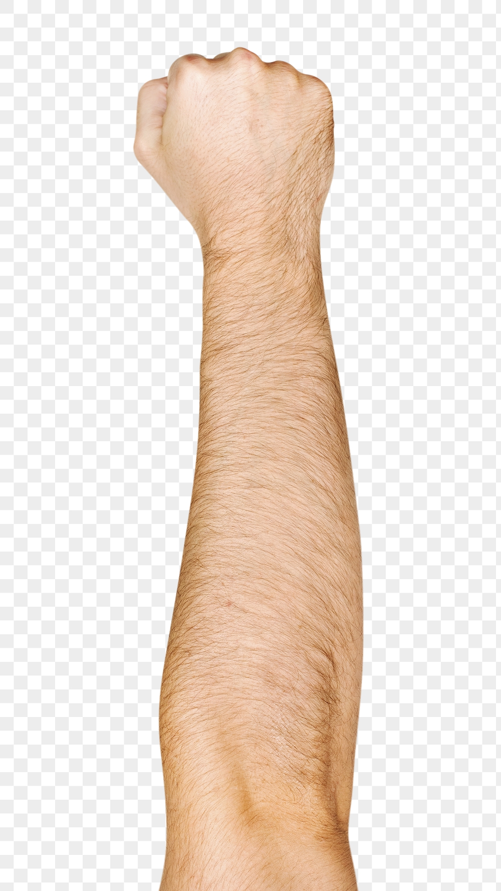 Fist png hand gesture sticker, | Free PNG - rawpixel