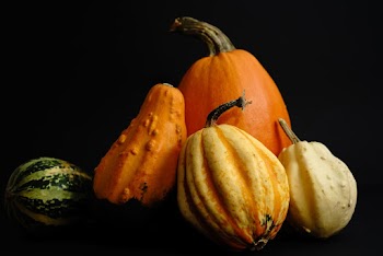 Five Assorted-shape Pumpkins